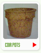 Cocopeat manufacturers in Sri Lanka