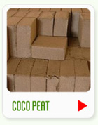 Cocopeat manufacturers in Sri Lanka