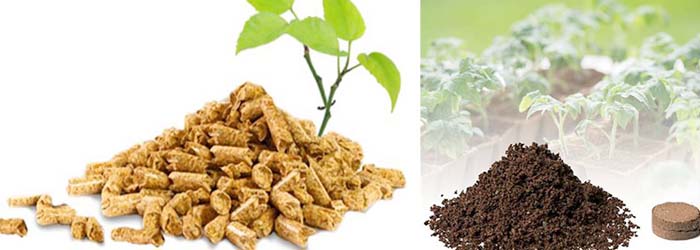 Cocopeat manufacturers in Sri Lanka